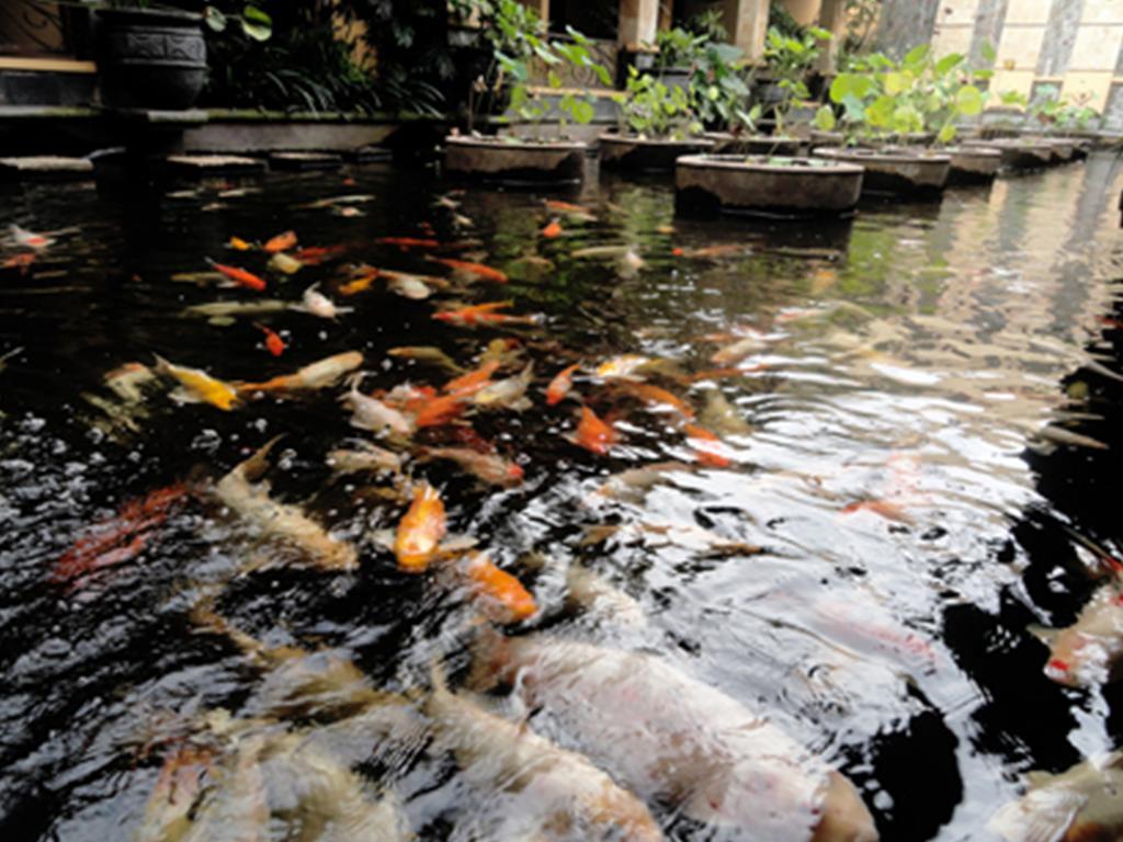 Lotus Garden Hotel Kediri  Zewnętrze zdjęcie